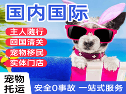 丹东浪头机场邮寄国际宠物托运 【国
